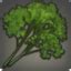 highland parsley ffxiv